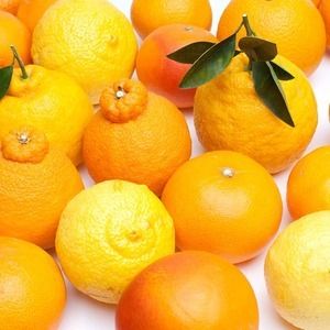 ＜1月より発送＞厳選 柑橘詰合せ10kg+250g（傷み補償分）｜有田の春みかん詰め合わせ・フルーツ詰め合せ・オレンジつめあわせ【光センサー選別】