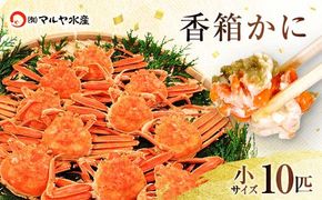 【11月12日～12月15日発送】石川県産 香箱蟹 せいこ 小サイズ 10匹 詰合せ F6P-3476