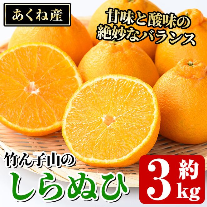 竹ん子山のしらぬひ(約3kg) 国産 鹿児島県産 阿久根産 柑橘 果物 しらぬい 不知火 フルーツ 果実 期間限定【竹ん子山】akn097-16