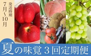 ［3回定期便］ 小布施の夏の味覚3回コース ［小布施屋］ 先行予約 フルーツ 果物 くだもの 野菜 やさい 数量限定 ネクタリン 桃 シャインマスカット ぶどう クール便 冷蔵 お楽しみ 3回お届け 長野県産 信州産 令和7年産 【2025年7月～10月発送】［D-2］