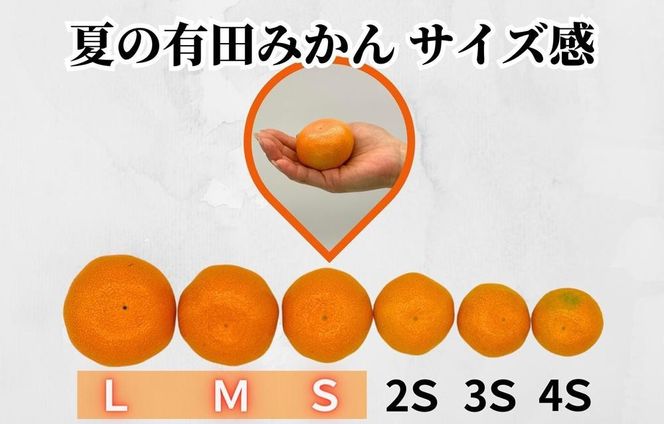 【お中元】ハウスみかん 温室栽培 夏の有田みかん 約1kg 秀品 S・M・Lサイズのいずれか 和歌山県 産地直送 みかんの会 【7月上旬～8月上旬に順次発送】 AX154-02
