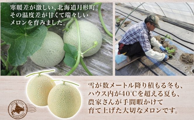 【2026年夏発送】北海道 赤肉メロン 北の女王 青肉メロン 月雫 秀品 約1.6kg 各2玉 令和8年 メロン 果物 フルーツ 旬 希少 甘い 豊潤 国産 ご褒美 産地直送 ギフト お祝い 贈答品 贈り物 お中元 常温 お取り寄せ
