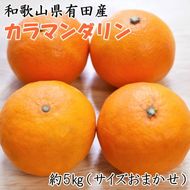 【春みかん】和歌山有田産カラマンダリン約5kg(サイズおまかせ)