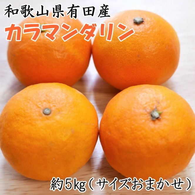 【春みかん】和歌山有田産カラマンダリン約5kg(サイズおまかせ)