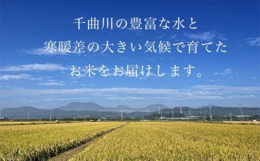 風さやか 白米 玄米 8分つき米 約5kg 約10kg 選べる 精米方法 内容量 ［ おぶせファーマーズ ］ お米 コメ おこめ ご飯 精米 長野県産【2025年11月上旬～発送】