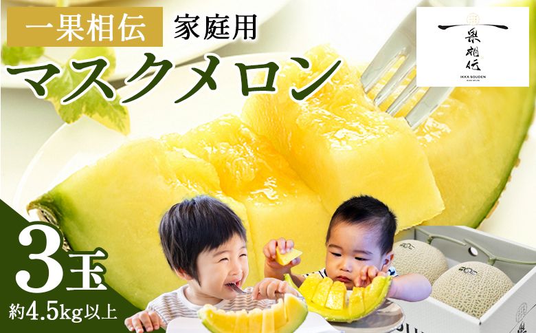 [発送開始]一果相伝マスクメロン家庭用 3玉入り - 果物 くだもの フルーツ めろん 青肉 デザート スイーツ ご自宅用 ジューシー 果汁 芳醇 幸せ 至福 美味しい 甘い あまい 篤農 tn-0029