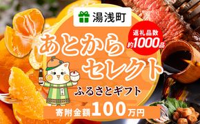 あとからセレクト【ふるさとギフト】100万円_ZZ1023
