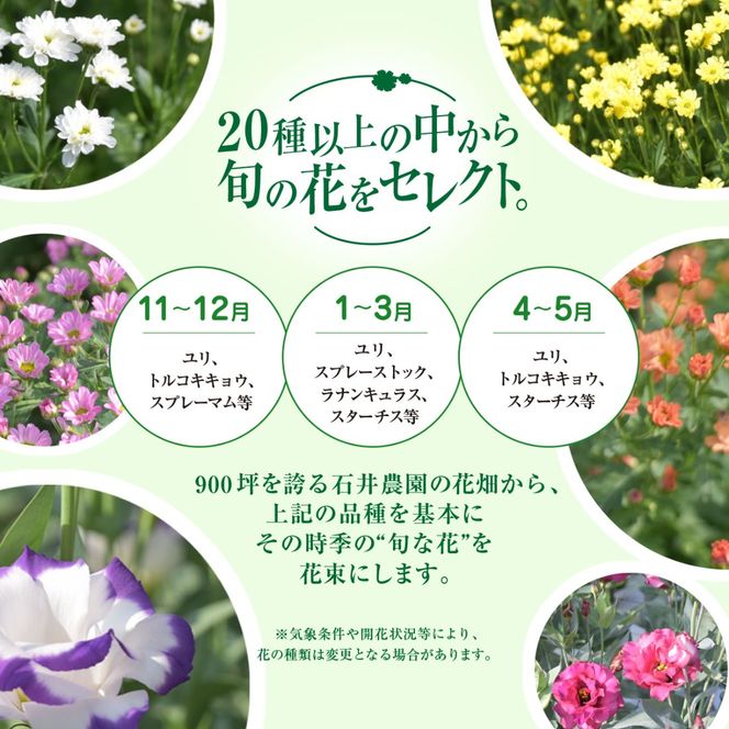 【先行予約】【2026年11月より順次発送】6代続く花農家より直送! 石井農園の「季節の花束」SMCM001