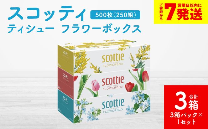 ＼スピード発送／【スコッティ】ティシュー フラワーボックス 250組 3箱パック×1セット 合計3箱 ティッシュ 日用品 生活必需品 スピード発送 【7営業日以内に発送】