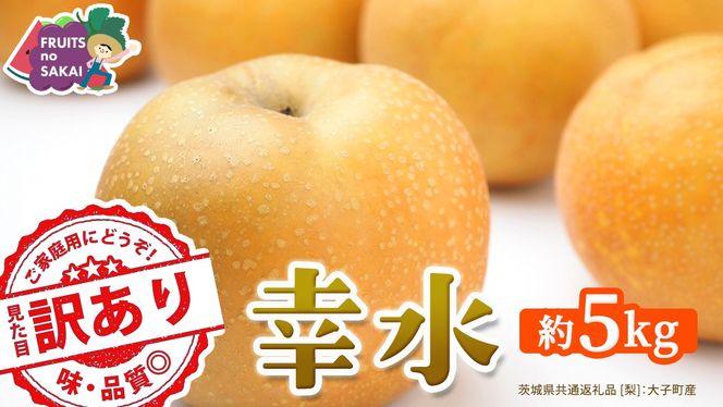＜ 訳あり ＞ 幸水 約5kg 【2026年8月より発送開始】（茨城県共通返礼品 [梨]：大子町産） ご家庭用 フルーツ なし ナシ 和梨 梨 わけあり 果実 旬のフルーツ お取り寄せ くだもの 果物 みずみずしい