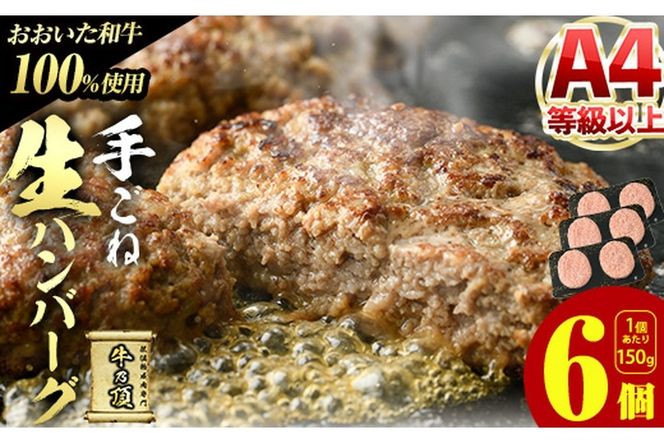 おおいた和牛 100% 手ごね 生ハンバーグ (計900g・150g×6個) 国産 牛肉 肉 霜降り A4 和牛 ブランド牛 冷凍 大分県 佐伯市【DH267】【(株)ネクサ】