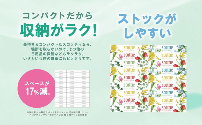 【定期便2回】【6ヶ月に1回お届け】【スコッティ】 ティシュー フラワーボックス 250組 60箱 計120箱 ティッシュ 日用品 生活必需品 消耗品 紙 まとめ買い ストック 備蓄 防災備蓄 新生活 防災 生活用品 日用消耗品 箱ティッシュ