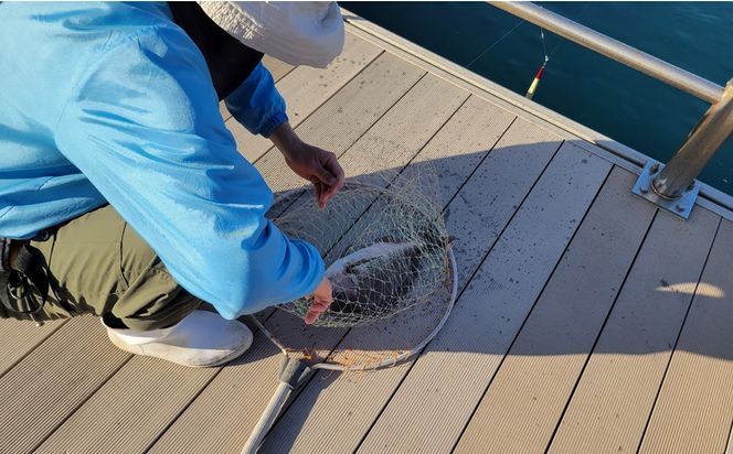 海洋体験施設うみんぐ大島 魚捌き教室体験1名様分【(㈱)むなかた大島】_HA2027 体験 チケット 福岡県宗像市 宗像市 福岡 宗像