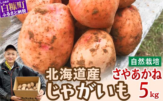 じゃがいも（さやあかね）無農薬・無肥料・自然栽培・北海道産【5kg】