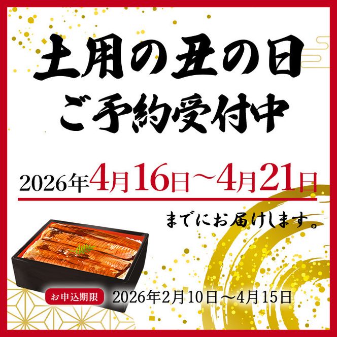大型サイズ　ふっくら柔らか　国産うなぎ蒲焼き　2尾　化粧箱入［春土用の丑の日のうなぎ］［～4月21日までにお届け］［UT05］ 303446_XF91091-GFT