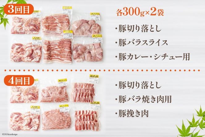 6回 定期便 豚 鶏肉 小分け お料理 セット 計10.8kg [甲斐精肉店 宮崎県 美郷町 31as0066] 肉 毎月 お届け 冷凍 宮崎県産 国産 若鶏 鳥 切落し ロース 生姜焼き とんかつ ひき肉 ミンチ もも カット バラ スライス 薄切り カレー シチュー 角切り チューリップ 手羽元 トンカツ 予約 送料無料