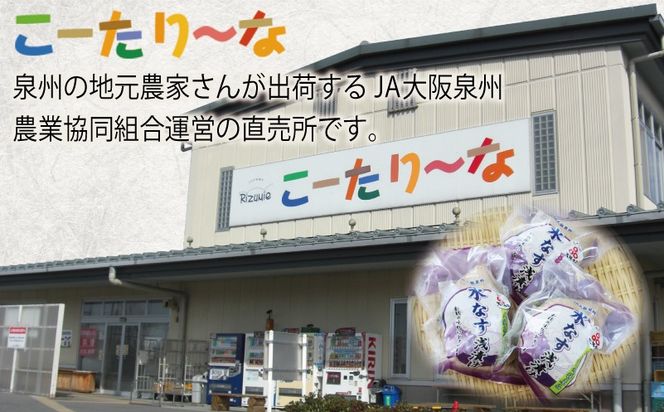 010B1602 泉州 水なす浅漬け（8個入り）