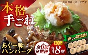 【全6回定期便】沖縄県産あぐー豚ハンバーグセット 800g (100g×8個) 豚 ハンバーグ 冷凍 ギフト お取り寄せ 沖縄市 / お肉屋本店[BCAZ010]
