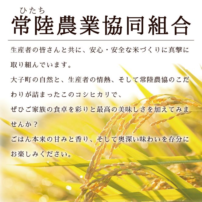 【3ヶ月定期便】令和7年産　常陸農協の大子町産コシヒカリ5kg×2袋 計10kg｜茨城県 大子町 お米 白米 精米 こしひかり ふっくら もっちり コンテスト受賞（AH017）