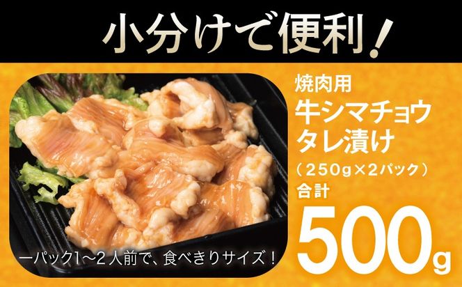 G3449 牛シマチョウ 焼肉用 タレ漬け 500g【味付け 小分け 250g×2P 焼くだけ 簡単調理 BBQ 牛肉 ホルモン お試し】