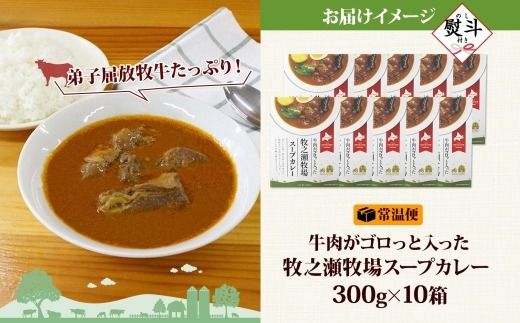 3027.無地熨斗 ビーフ スープカレー 300g 10箱 カレー ビーフカレー スープ 牛 牛肉 放牧牛 牧場 レトルトカレー レトルト食品 レトルト 湯煎 レンジ 牧之瀬牧場 送料無料 北海道 弟子屈町