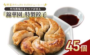 ボリューム満点 手作り冷凍餃子 45個 (15個×3袋)［錦華園］【 野菜 キャベツ たっぷり 厚い 手包み 手作り もちもち モチモチ 汁 町中華 中華 北海道 十勝 幕別 】