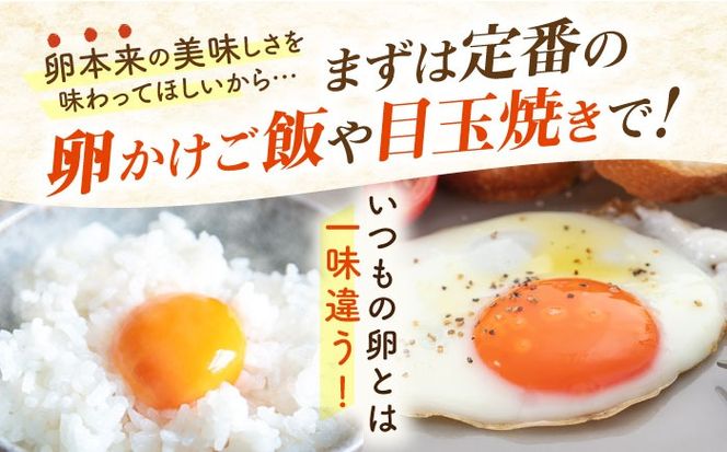 【全3回定期便】てつやとのりこの玉子 【 40個 】 糸島市 / 板垣ファーム 卵 たまご 鶏卵[AWD020]