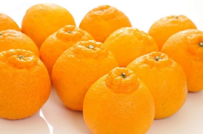 【大人気】和歌山 有田の濃厚 大玉 デコポン　12～15玉(約5kg) / みかん 蜜柑 フルーツ 果物 デコポン 不知火 ※2027年1月下旬～3月下旬頃に順次発送 【ard010-noko-l5A】