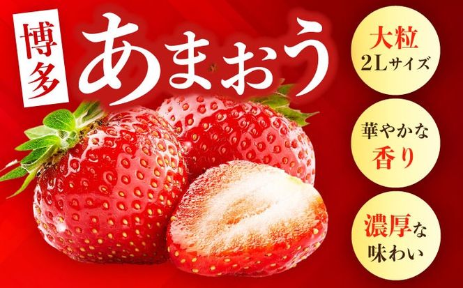 【予約受付】【2月1日より順次発送】農家直送 朝採り新鮮いちご【博多あまおう】約270g×2《築上町》【株式会社H&Futures】[ABDG003]