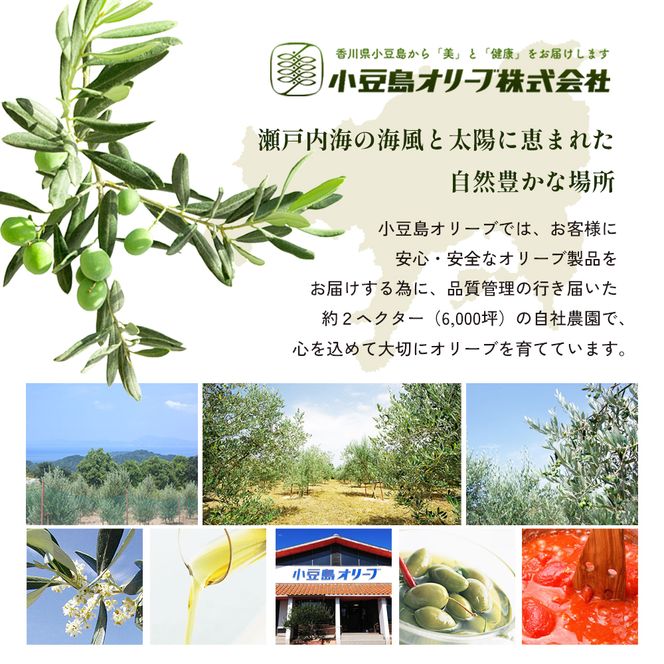 小豆島産エキストラバージンオイル45.5ｇ×3本 