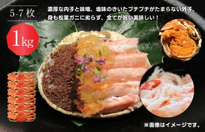 921.【活】鳥取県産　セコガニ　訳あり良品　1ｋg(5～7枚)《かに カニ 蟹 セコガニ※2025/11/6～2025/12/25に順次発送予定※着日指定不可  離島不可（北海道、沖縄本島は配送可能） 313726_AL001VC01