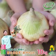 【新玉ねぎ】淡路島　池上農場の「あやたけ」10kg【発送時期2026年3月下旬～5月頃】玉ねぎ