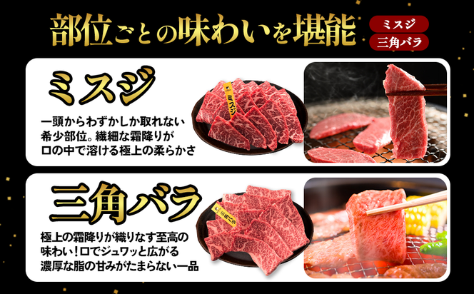 宮崎県産 黒牛 焼肉 赤身 牛肉 焼肉セット ミスジ 三角バラ 2点盛り 560g(280g × 2パック)焼肉用 肉 お肉 牛 国産牛 食べ比べ セット 小分け 真空パック  冷凍 贈答 贈答用 ギフト BBQ アウトドア キャンプ  国産 国産牛 九州 宮崎県 えびの市 