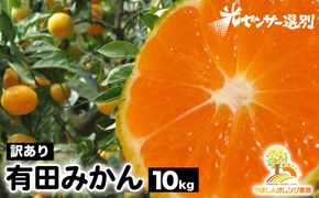 【訳あり】有田みかん 10kg | 農家直送 訳あり ご家庭用 サイズ混合 光センサー選別 温州みかん みかん 訳あり わけあり 家庭用
