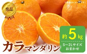 DZ6212_秀品 カラマンダリン なつみ 和歌山 有田 秀品 S～2Lサイズ 大きさお任せ 約5kg