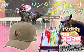 【TVで紹介！】【ワンダーアキュート画伯】(トーヤマノキンサンver) キャップ BRTV201