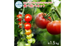 【先行予約】フルーツトマト食べくらべセット 約1.5kg 〈2027年1月下旬から順次発送〉トマト フルーツトマト ミニトマト 詰め合わせ セット ふるーつとまと フルーツミニトマト カラフル トマト とまと 美味しい 高知県産 高知県 土佐市【ファーム輝】 [BQBM001]