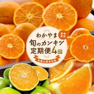 【定期便】〈3・5・9・11月 全4回〉わかやま旬のカンキツ定期便【L】全４回（青切りみかん・完熟みかん・春の柑橘・初夏の柑橘）｜フルーツ ふるーつ 果物 くだもの 詰め合わせ 果物定期便 みかん 国産 産地直送 美浜町 ※北海道・沖縄・離島への配送不可