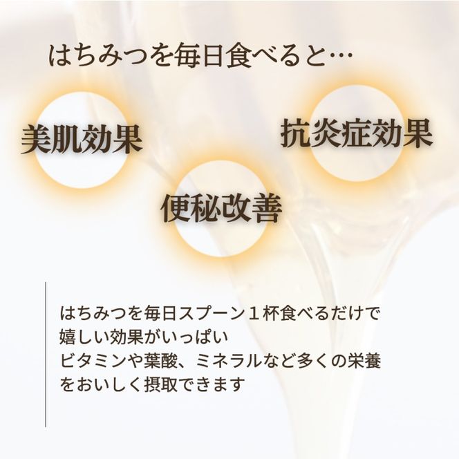 天然はちみつ　アカシア　600g×3本  蜂蜜 ハチミツ ハチ蜜 鳥取県産◇日本全国配送可能  お申し込みから14日以内に発送