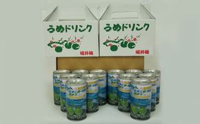 梅ドリンク12本（6本ずつ化粧箱入り） 果汁飲料 ジュース 