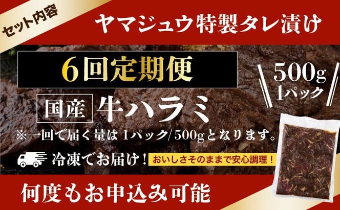 ヤマジュウの特製タレ漬け！牛ハラミ肉５００ｇ【６回定期便】_yj089