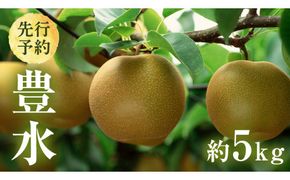 【 2026年8月下旬発送開始 】 茨城県産 梨 豊水 （約 5kg ） 10～14玉  梨 なし 和梨 日本梨 果物 フルーツ 新鮮 旬 期間限定 国産 先行予約[CL002us]