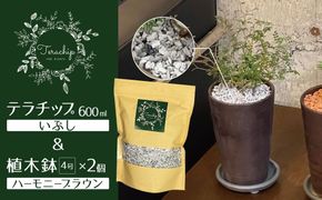 三河焼植木鉢ハーモニーブラウン【テラチップいぶし】プランター お手軽植物栽培セット 園芸 粘土 鉢 植物 土 シルバー 銀 茶 H188-007