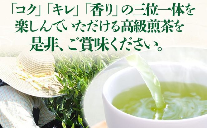 【2025年産】緑茶 星野茶 八女茶 お茶 星野村の八女茶 高級煎茶 桃山 80g お取り寄せグルメ お取り寄せ 福岡 お土産 九州 福岡土産 取り寄せ グルメ 福岡県