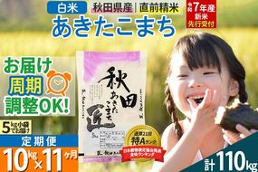 【白米】＜令和7年産 新米予約＞ 《定期便11ヶ月》秋田県産 あきたこまち 10kg (5kg×2袋)×11回 10キロ お米【お届け周期調整 隔月お届けも可】 新米|02_snk-010611s