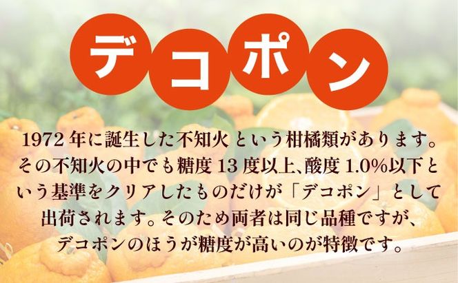 デコポン 約5kg D-669-RN