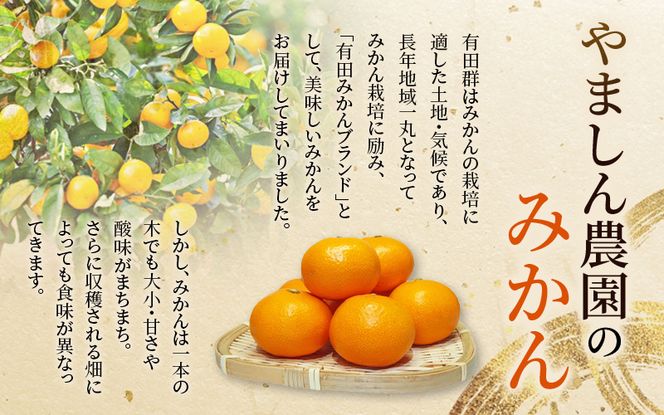 みかん ＼光センサー選別／極 有田みかんプレミアム 約3.5kg【光センサー 高糖度選別品】2S～Lサイズ 有機質肥料100% ※2025年11月下旬頃～2026年1月上旬頃に順次発送予定 ※北海道・沖縄・離島への配送不可 【nuk168A】