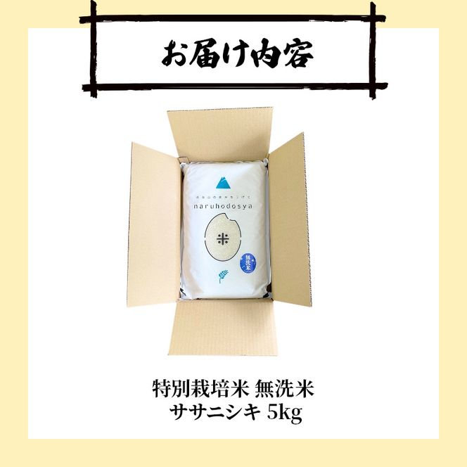 【令和8年産 新米予約】【無洗米】秋田県産特別栽培米ササニシキ5kg×1袋 新米 お米 おこめ 精米特別栽培米