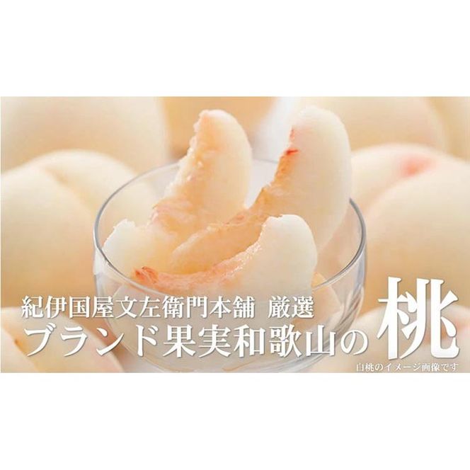 和歌山の桃 [秀品 約3.8～4kg](サイズ・品種おまかせ) 和歌山県産 フルーツ もも モモ 紀伊国屋文左衛門本舗