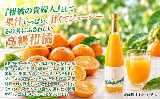【先行予約】【数量限定】田縁農園の岬（はな）まどんな生果＆紅まどんなジュースセット （2026年12月10日より順次発送） IKTA004